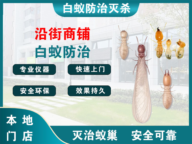 江阴市沿街商铺白蚁防治