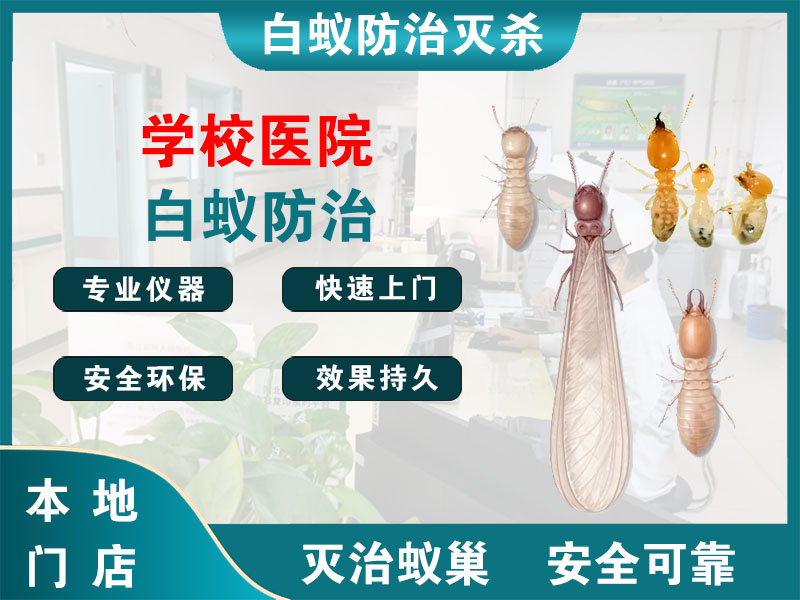 江阴市学校医院白蚁防治