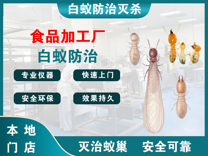 江阴市食品加工厂白蚁防治