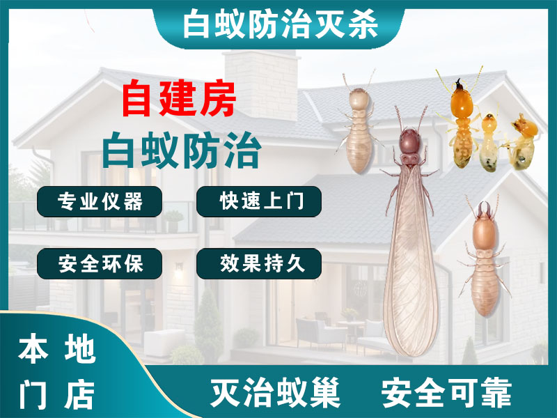 江阴市自建房白蚁防治