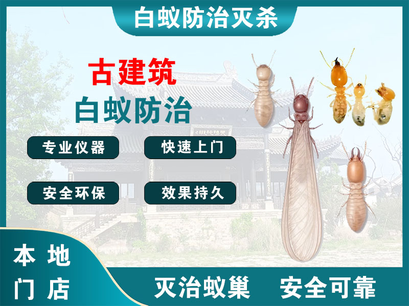 江阴市古建筑白蚁防治