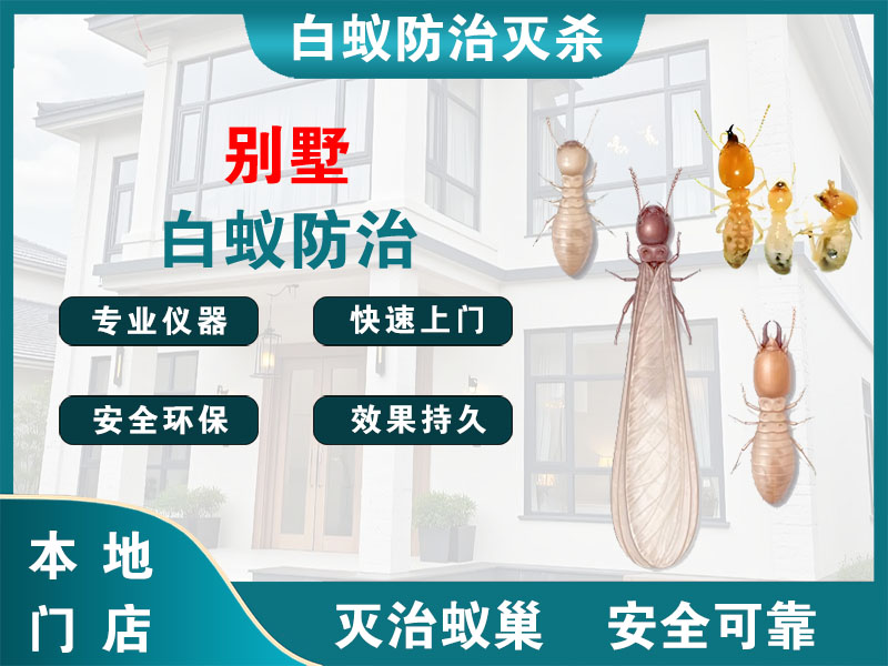 江阴市别墅白蚁防治