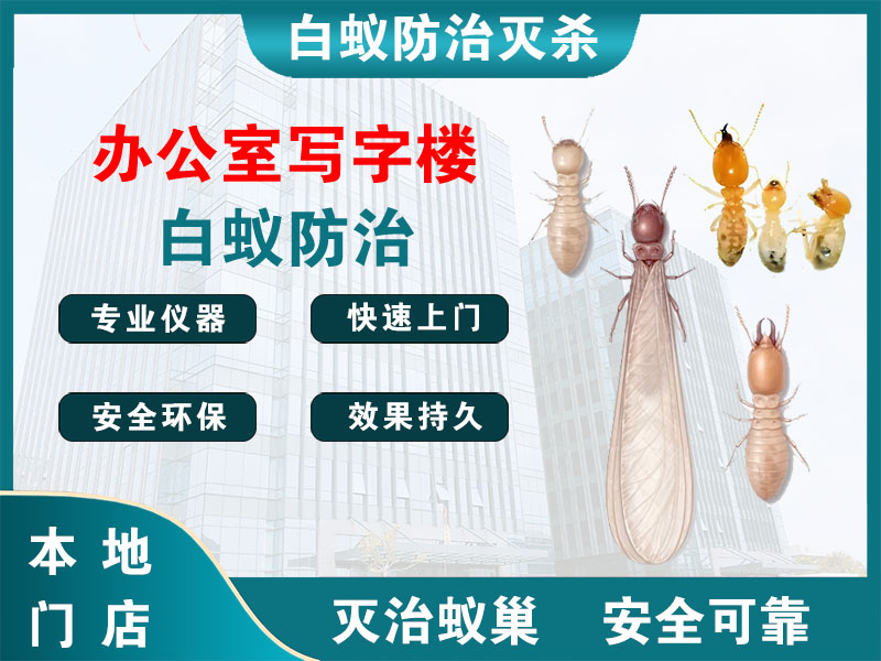 江阴市办公室写字楼白蚁防治