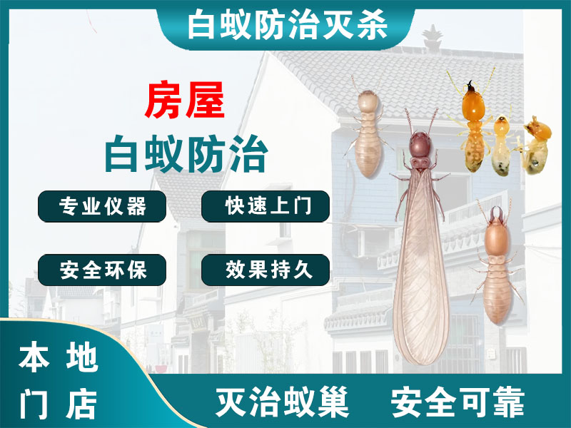 江阴市房屋白蚁防治